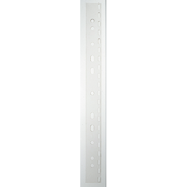 Leitz Abheftstreifen 25 x 297 mm (B x L) Polypropylen transparent 25 St./Pack.