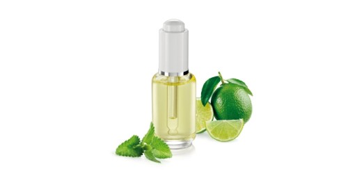 Ätherisches Öl FANCY HOME 30 ml, Mojito