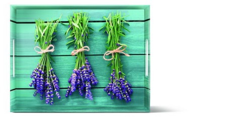 EMSA CLASSIC Tablett 40 x 31 Lavender