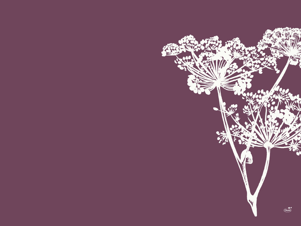 DUNI Papier-Tischsets 30 x 40 cm, Yarrow