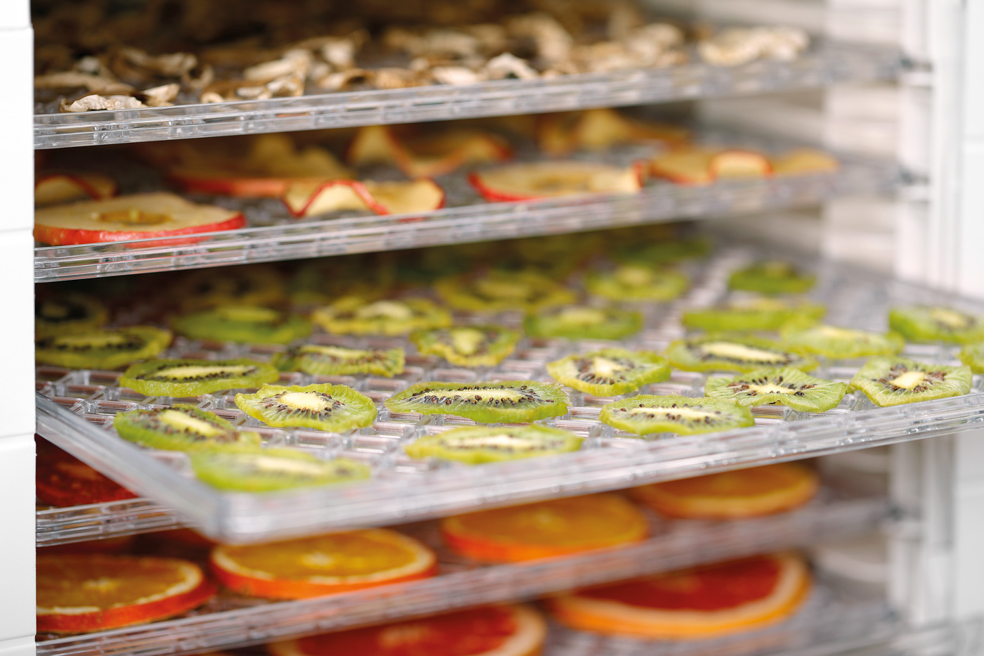 Bartscher Dörrautomat 120 | Abstand zwischen denEinschüben: 20 mm | Maße: 45 x 34 x 30,5 cm.Gewicht: 5 kg