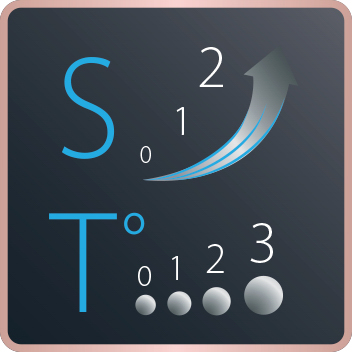 Rowenta Studio Dry Föhn, Ionic Booster Energiesparende Effiwatt Technologie, 6 Geschwindigkeits-/Temperaturstufen, Thermo