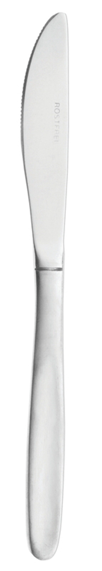 MONITA Menümesser Chromstahl, Stiele matt