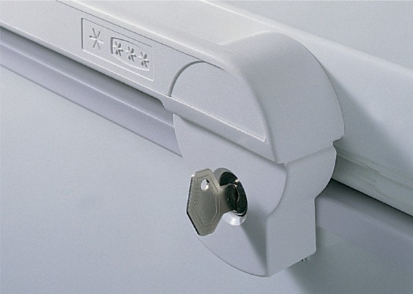 Nordcap Energiespar-Tiefkühltruhe EL 21 XLE, für Tiefkühlkost, steckerfertig, statische Kühlung