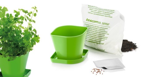 Kräuteranbau-Set SENSE, Koriander