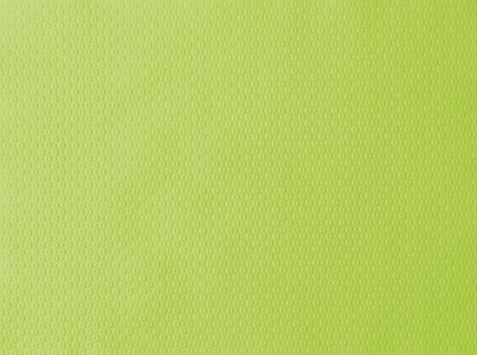 DUNI Papier-Tischsets 30 x 40 cm, kiwi