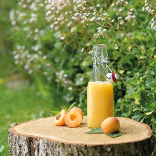 Westmark Bügelverschlussflasche eckig, 250 ml, eckig