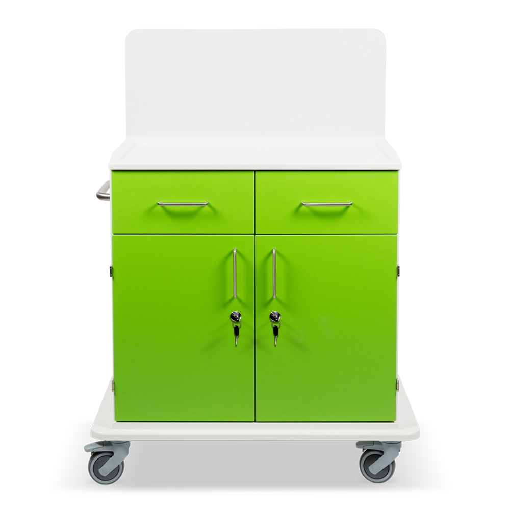 ETHERNASOLID® MULTICART Multifunktionswagen T21 mit Rückwand, 2 Drehtüren, 2 Schubladen und Schiebegriff, grün