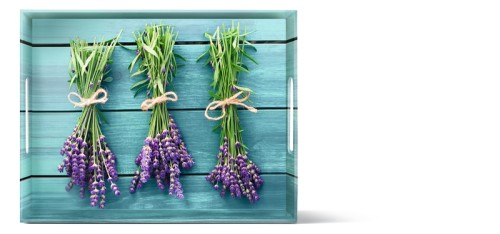 EMSA CLASSIC Tablett 50 x 37 Lavender