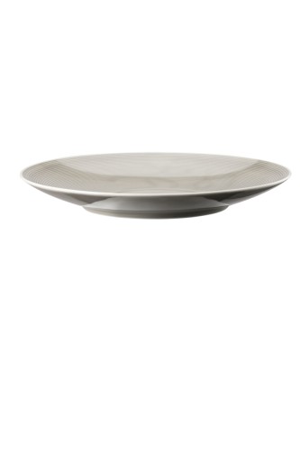 Thomas Speiseteller 28cm Loft by Rosenthal Colour - Moon Grey aus Porzellan