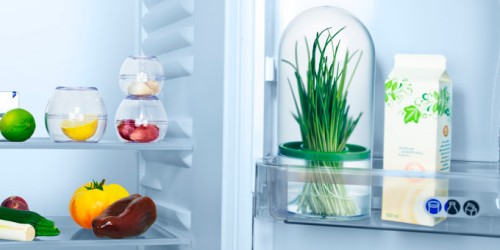 Dose zur Aufbewahrung von Kräutern SENSE