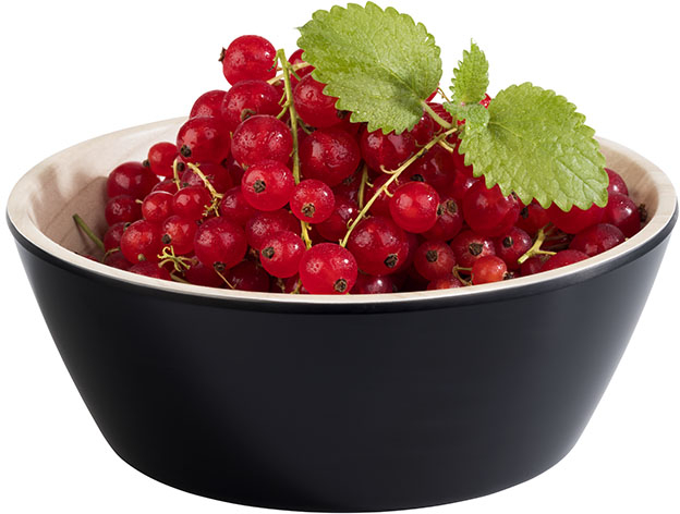 Schale -FRIDA- Ø 15 cm, H: 5,5 cm Melamin innen: Holzoptik außen: schwarz 0,44 Liter spülmaschinengeeignet stapelbar nicht