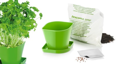 Kräuteranbau-Set SENSE, Petersilie