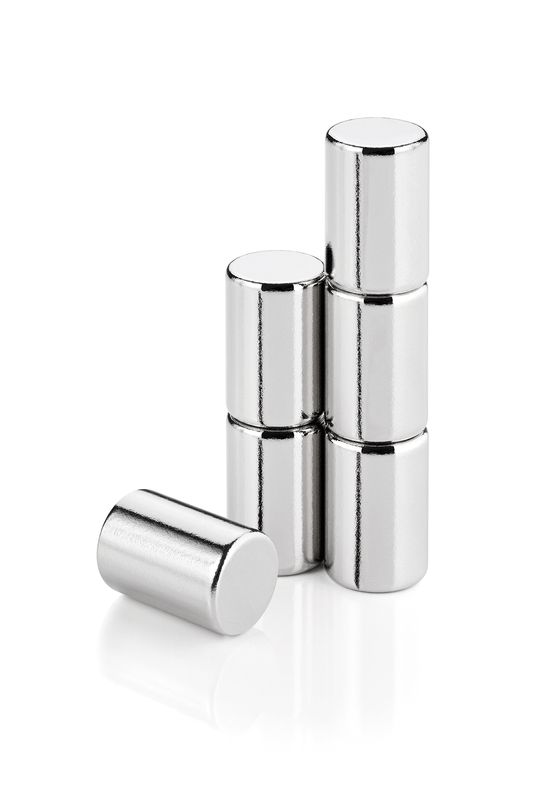 Blomus Set 6 Magnete 