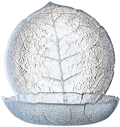 Puddingteller ASPEN 14,5 cm Höhe 36 mm - Durchmesser 145 mm Arcoroc