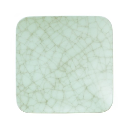 Seltmann Coupschale eckig 26x26 cm M5384, eckig, Form: Coup Fine Dining, Dekor: 57516 Growth, hohe Kantenschlagfestigkeit, Made in Germany