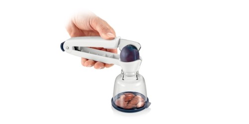 Pflaumenentsteiner HANDY