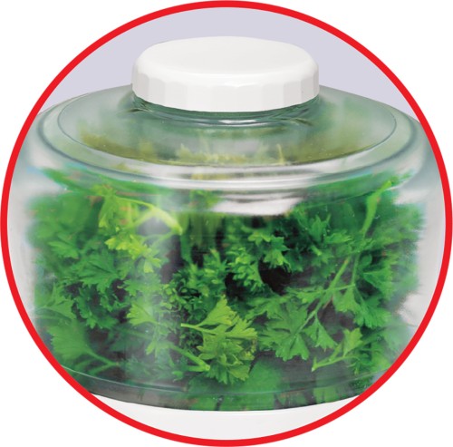 Tefal La Moulinette Zerkleinerer